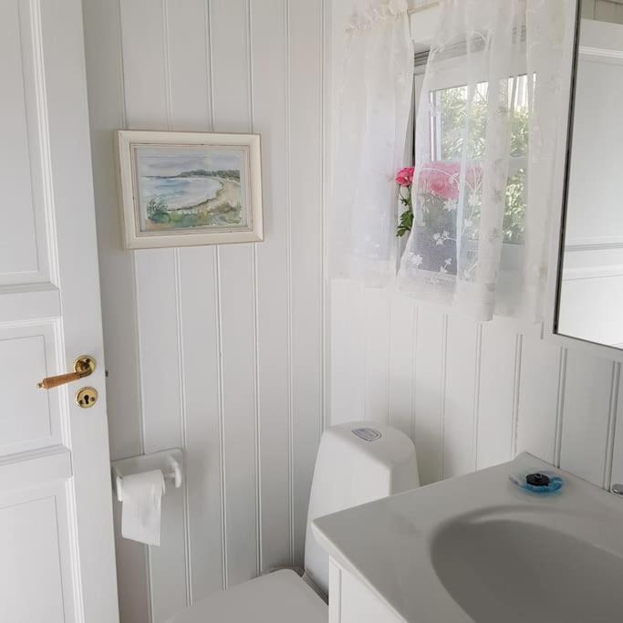 Appartement Lys Og Lettstelt Leilighet Med Utsikt Over Byen à Sandefjord Extérieur photo